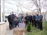 اجرای سنّت حسنه درختکاری در شرکت گاز استان آذربایجان شرقی 